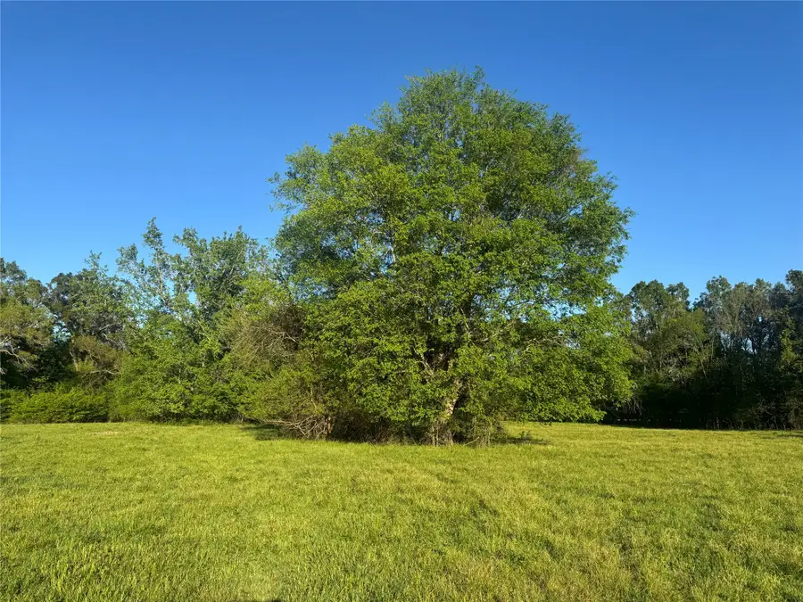 0000 N Hwy 271, Talco, TX 75487 - #3