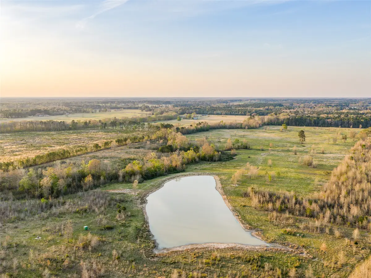 TBD Fm 990, Simms, TX 75574 - #1