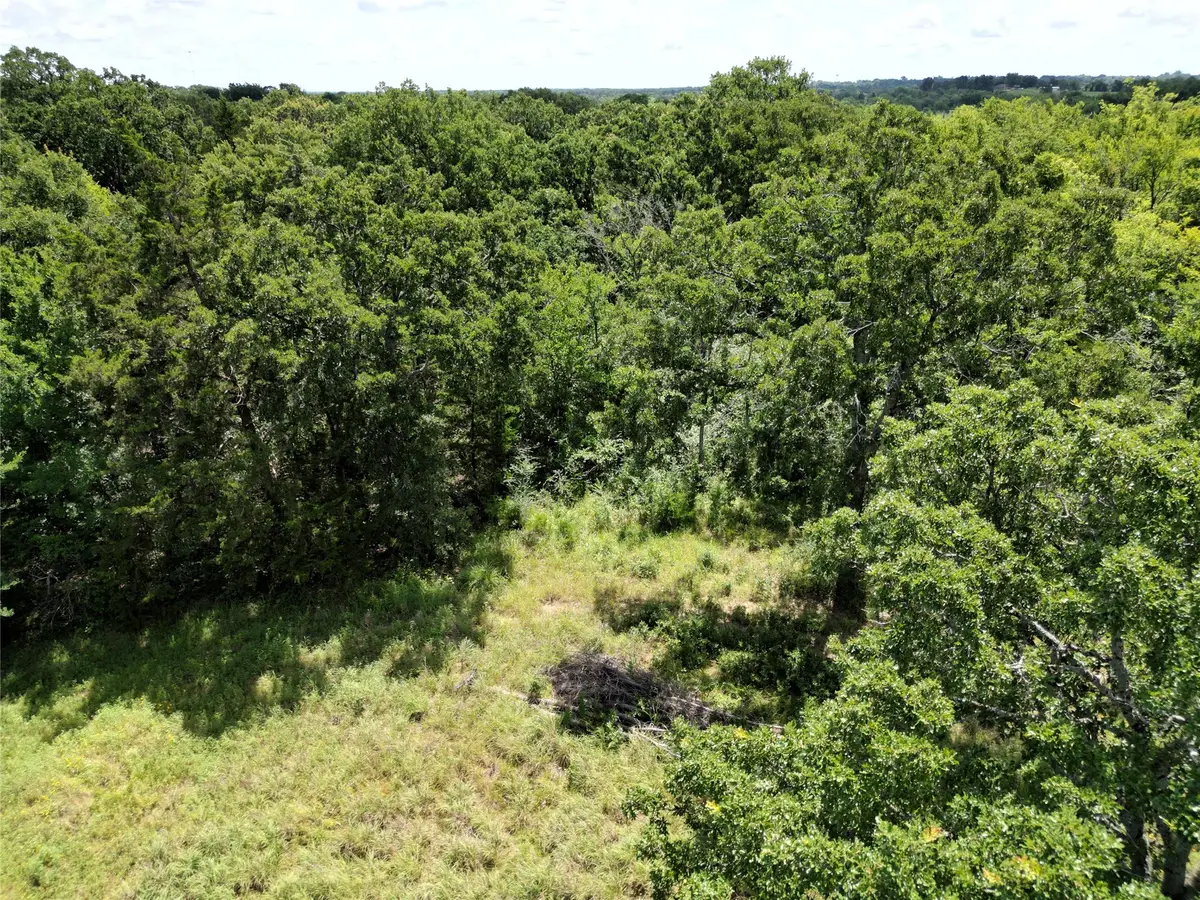 Lot 10 Jake Lane, Sulphur Springs, TX 75482 - #1
