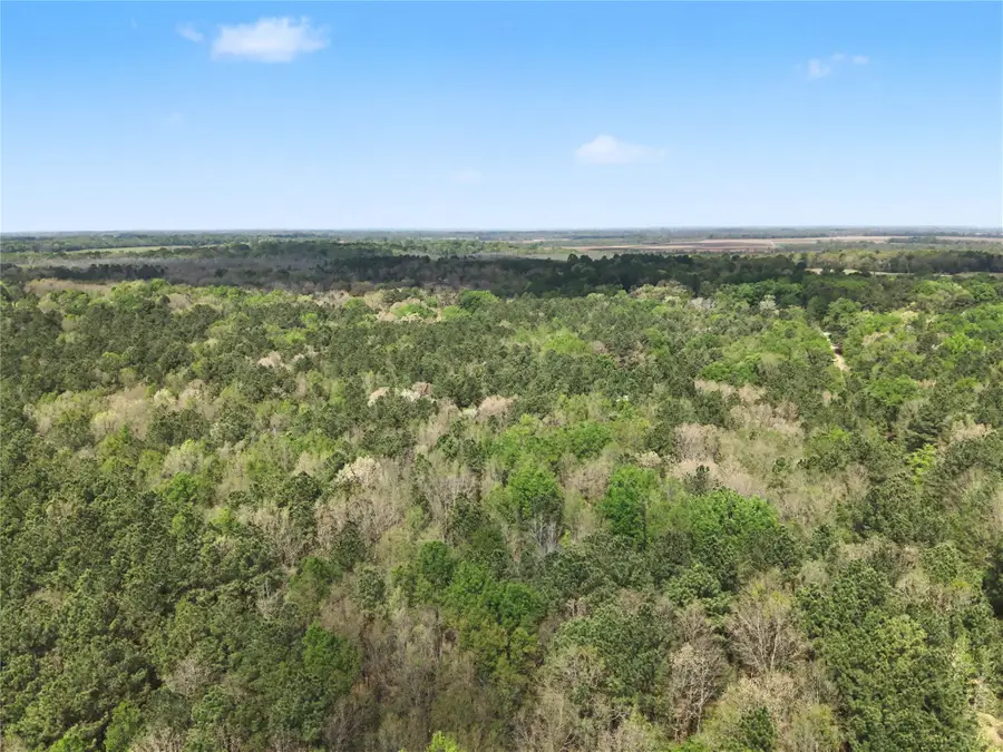 31 +/- ac Cr 2108, Hooks, TX 75561 - #2