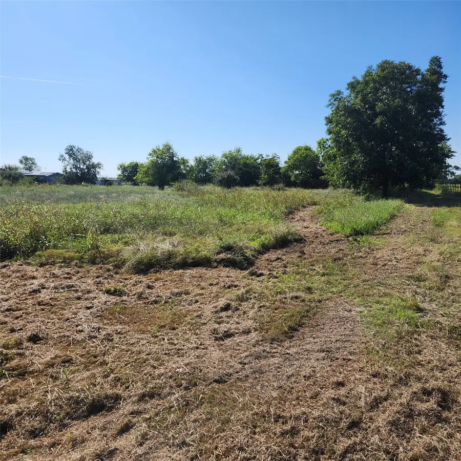 694 Bledsoe Road, Gunter, TX 75058 - #3