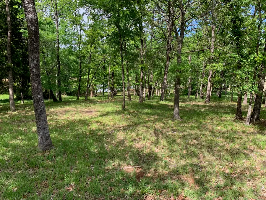 TBD Esquire Estates Road, Mabank, TX 75156 - #2