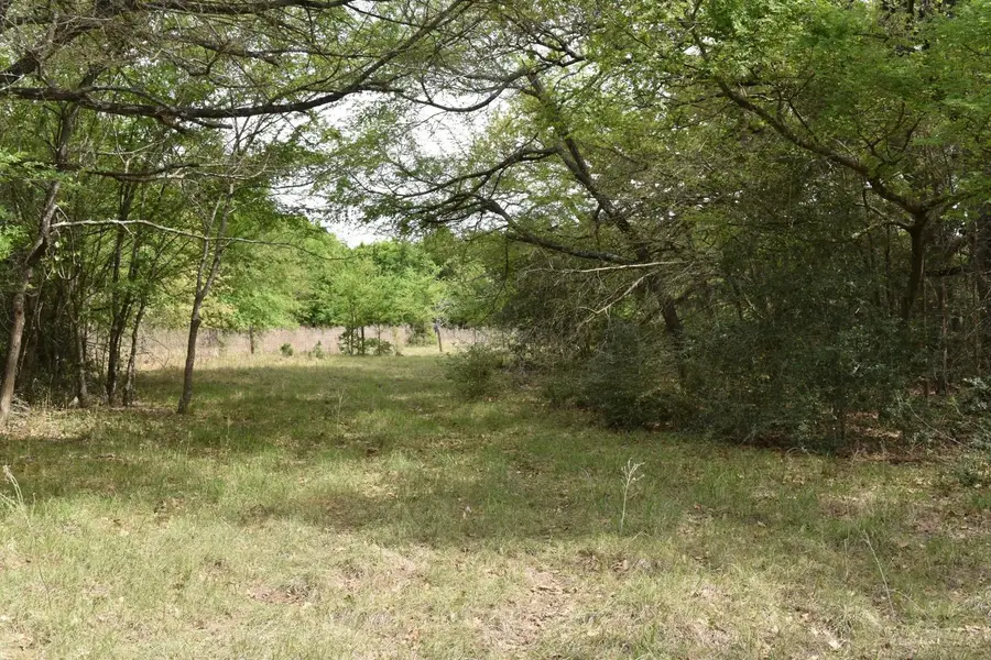 TBD Mitchell Road, Kosse, TX 76653 - #2