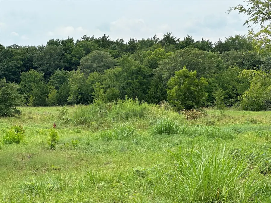 TBD Fm 678, Whitesboro, TX 76273 - #3