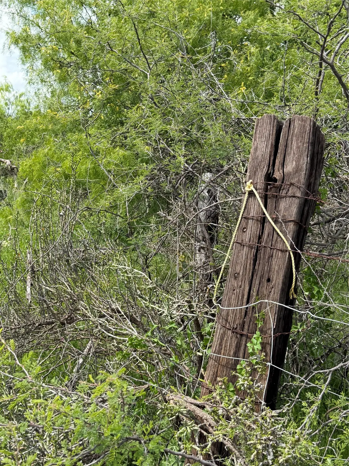 000 County Road 149, Brownwood, TX 76801 - #1