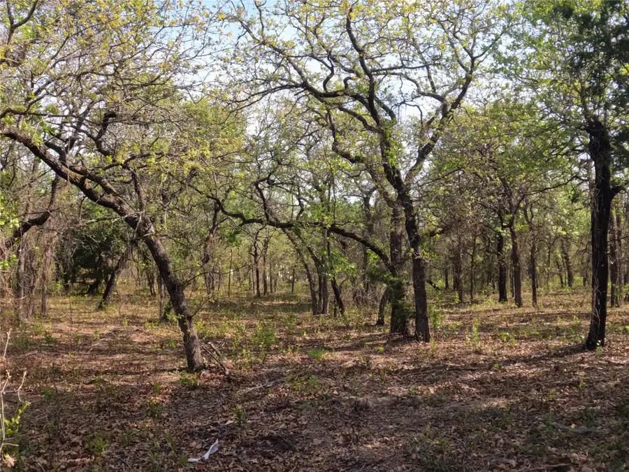 2113 Jeremy Street, Tolar, TX 76476 - #2