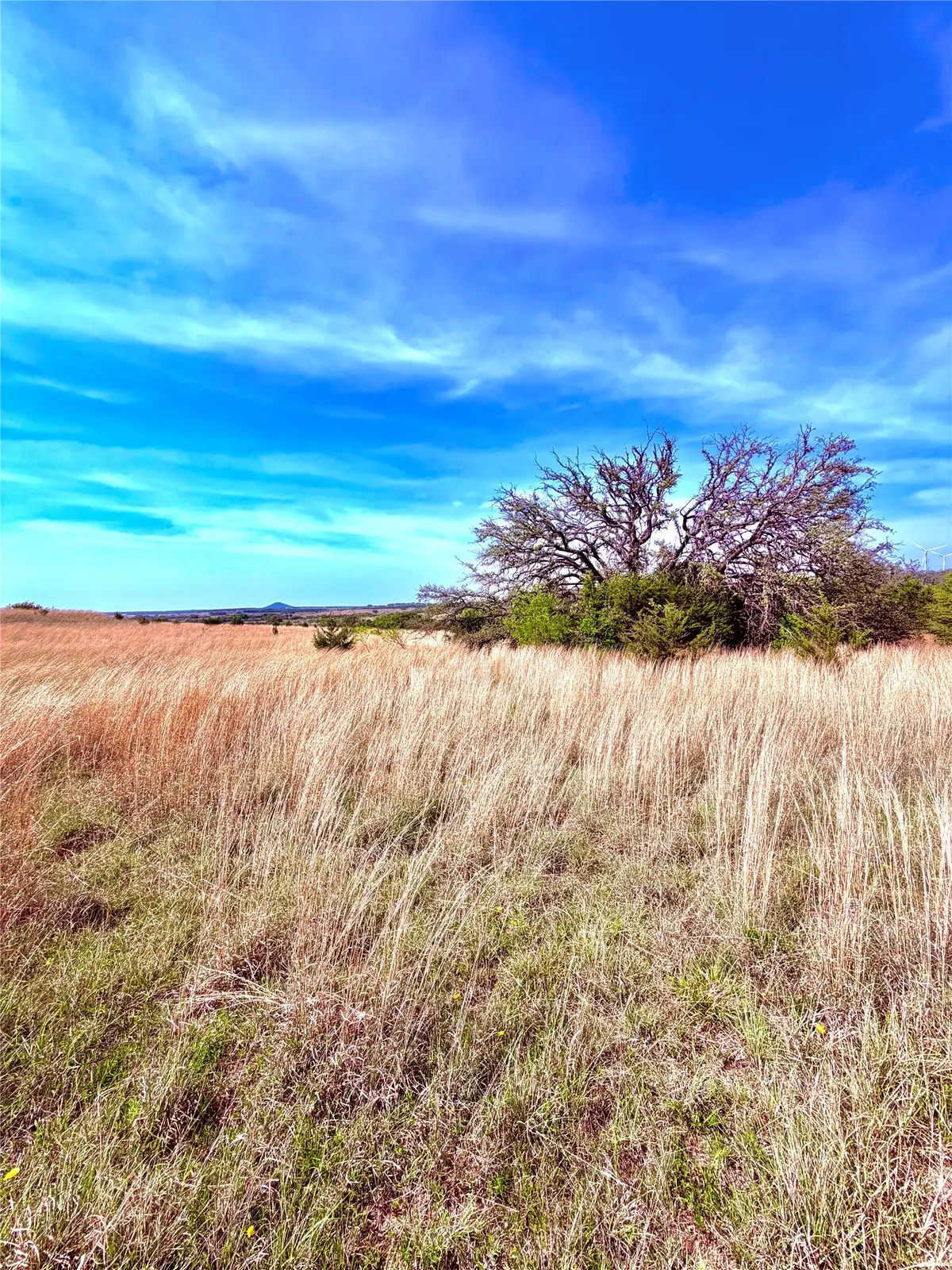 39 Cr 330, Goldthwaite, TX 76844 - #1
