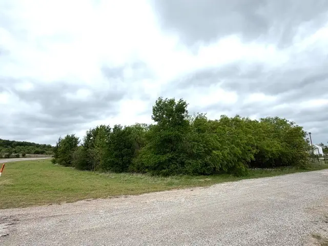 TBD Mcalister, Mingus, TX 76463 - #2