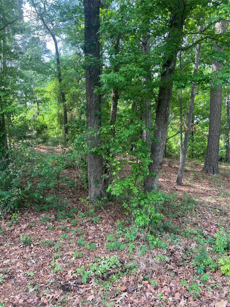 5417 Briarcliff Circle, Shreveport, LA 71109 - #2