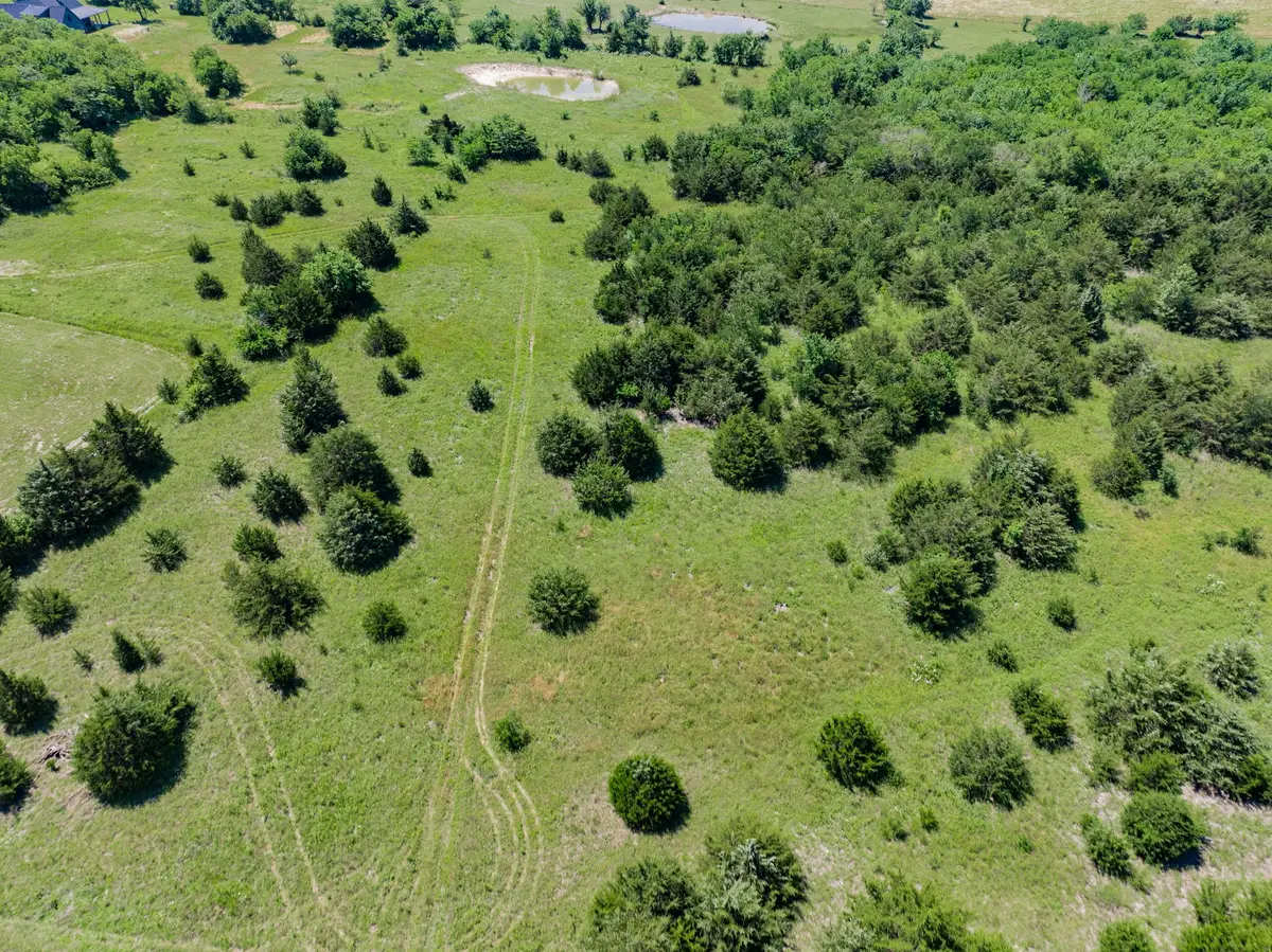 654 N Fm 36 #Lot 4, Greenville, TX 75401 - #1