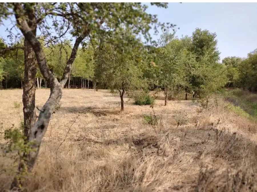 4139 Vista Oak Drive, Royse City, TX 75189 - #3