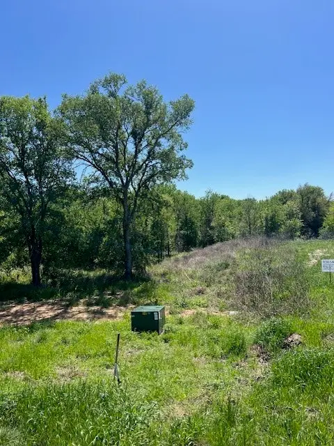 1004 Bermes Court, Brock, TX 76087 - #2