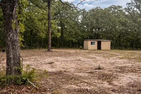 132 Prewitt Street, Mabank, TX 75156 - #1