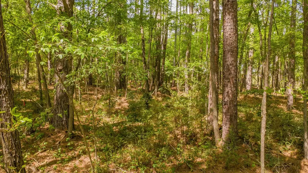 1723 Pineview Lane, Hideaway, TX 75771 - #1