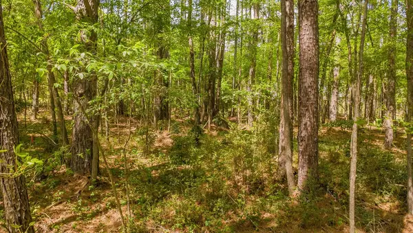 1723 Pineview Lane, Hideaway, TX 75771