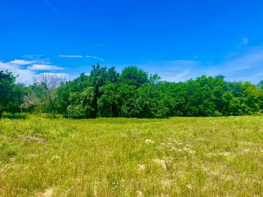 Lot 99 Arlow Road, Poolville, TX 76487 - #3