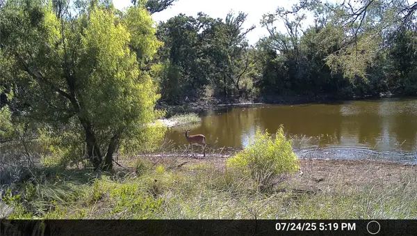 N/A Wayland Ranches, Breckenridge, TX 76424