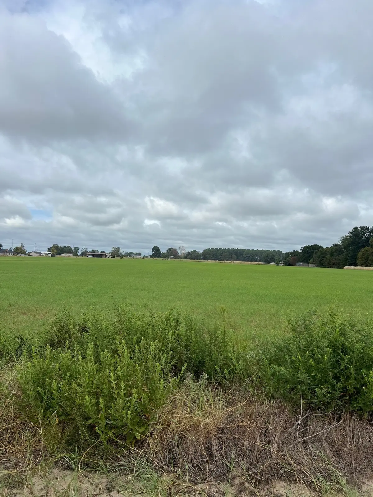 14018 County Road 4122, Lindale, TX 75771 - #1