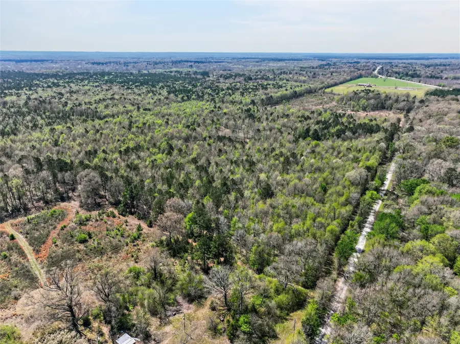 1155 County Road 4153, Simms, TX 75574 - #2