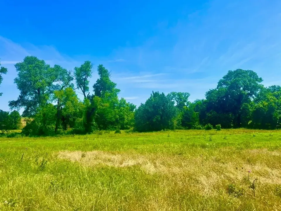 Lot 93 Kerry Ct, Poolville, TX 76487 - #1