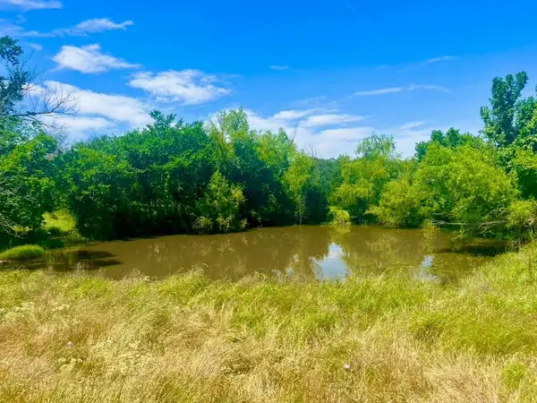 Lot 99 Arlow Road, Poolville, TX 76487