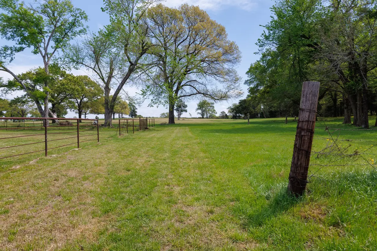 411 County Road 4313, Ben Wheeler, TX 75754 - #1