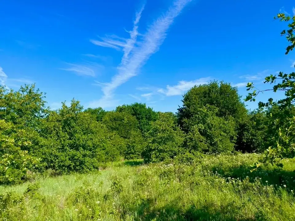 Lot 53 Wicklow Court, Poolville, TX 76487 - #1