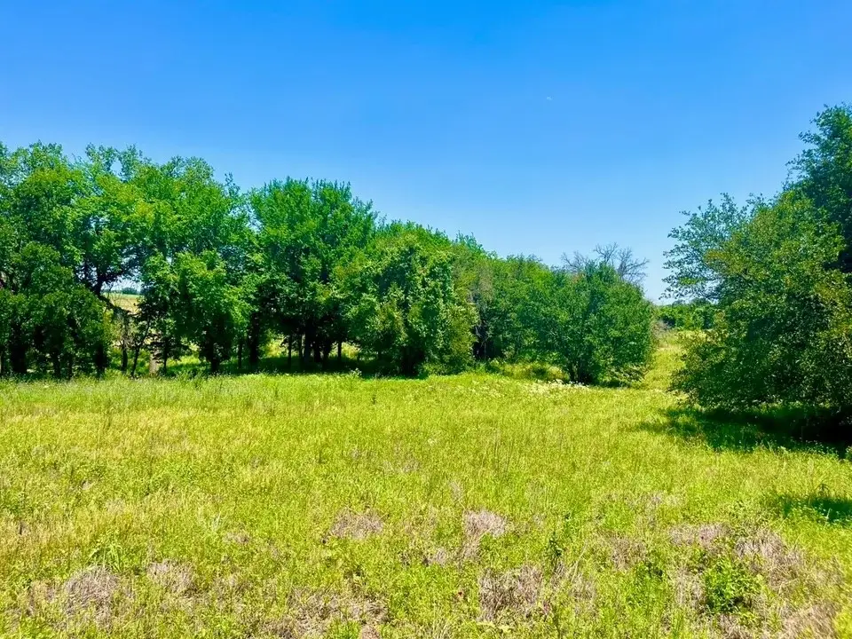 Lot 89 Kerry Court, Poolville, TX 76487 - #1