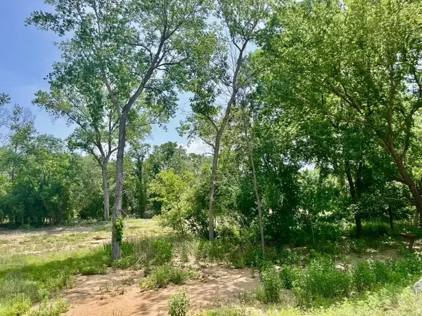 Lot 46 Antrim Court, Poolville, TX 76487