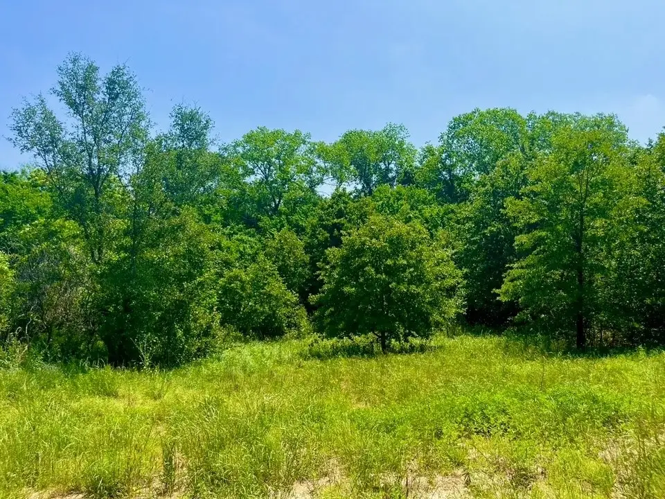 Lot 47 Antrim Court, Poolville, TX 76487 - #1