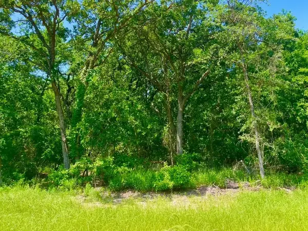 Lot 48 Antrim Court, Poolville, TX 76487