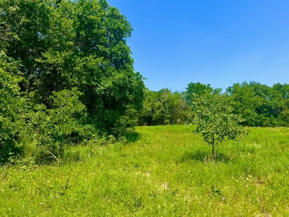 Lot 49 Wicklow Court, Poolville, TX 76487 - #1