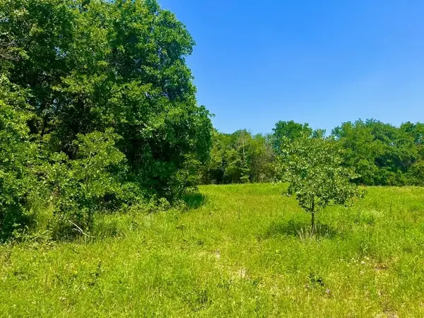 Lot 49 Wicklow Court, Poolville, TX 76487