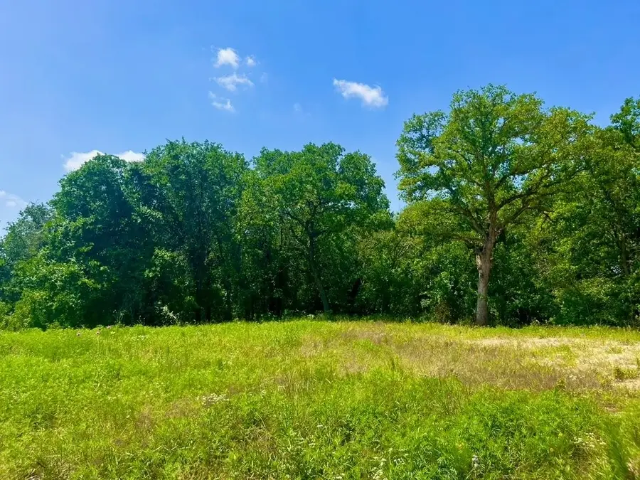 Lot 49 Wicklow Court, Poolville, TX 76487 - #2