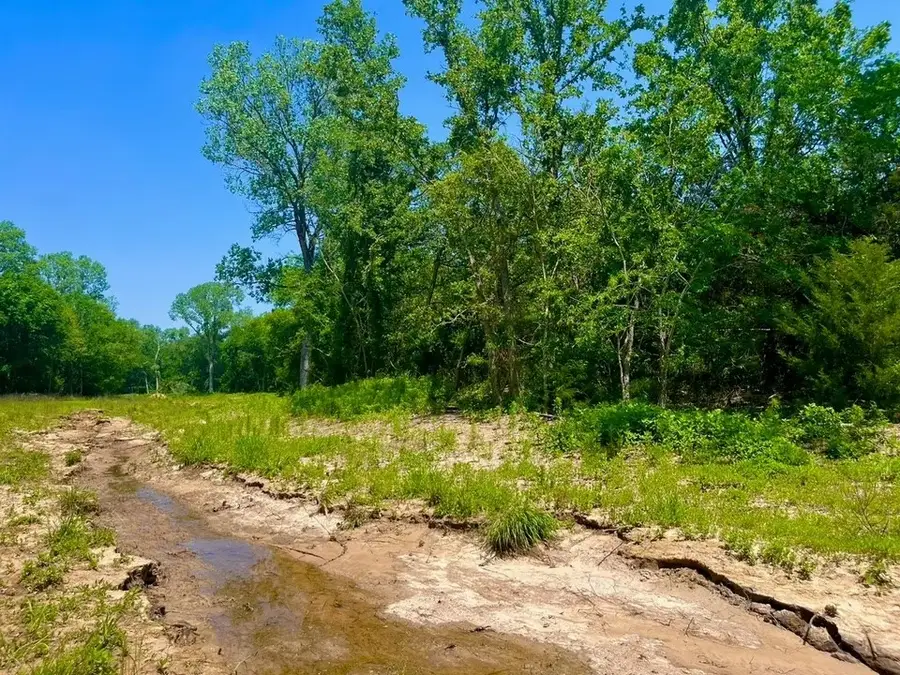 Lot 49 Wicklow Court, Poolville, TX 76487 - #3