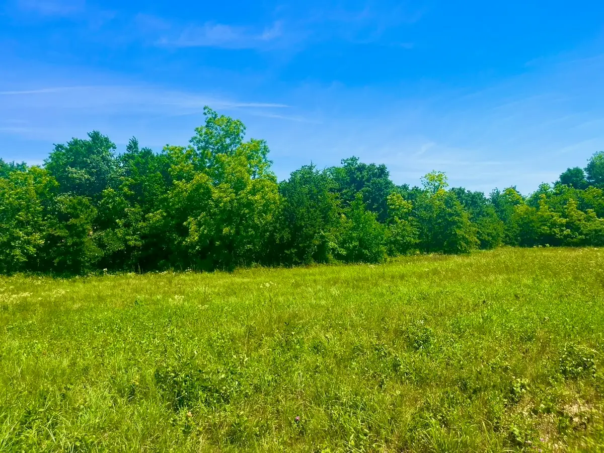 Lot 103 Arlow Road, Poolville, TX 76487 - #1