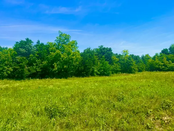 Lot 103 Arlow Road, Poolville, TX 76487