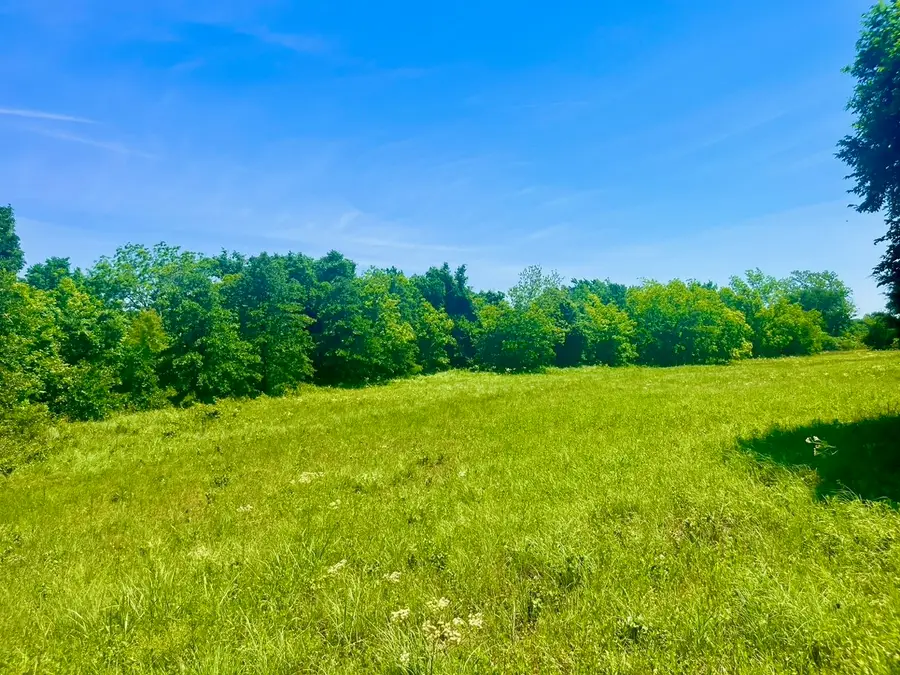 Lot 103 Arlow Road, Poolville, TX 76487 - #3