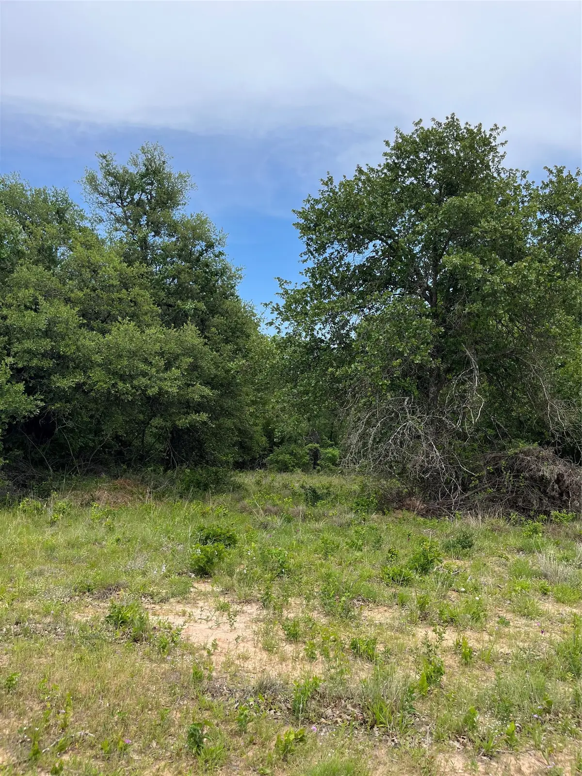 Lot 96 Kilkenny Rd, Poolville, TX 76487 - #1