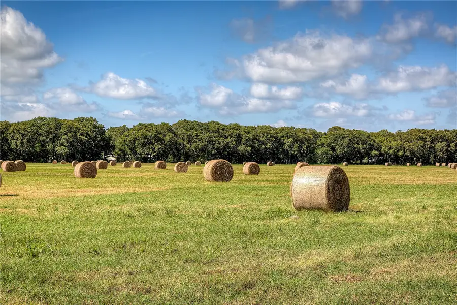 3812 County Road 120, Wills Point, TX 75169 - #3