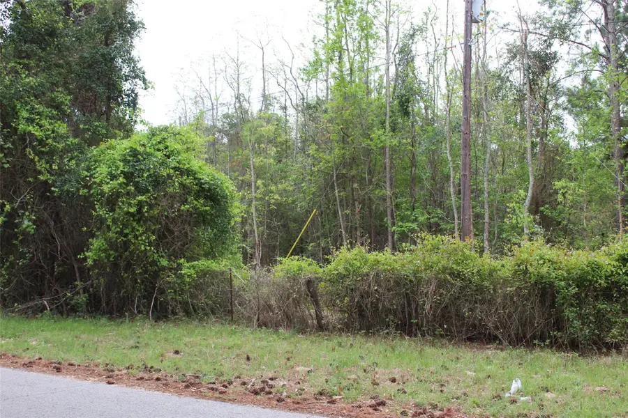 0 Cr-4600, Athens, TX 75752 - #2