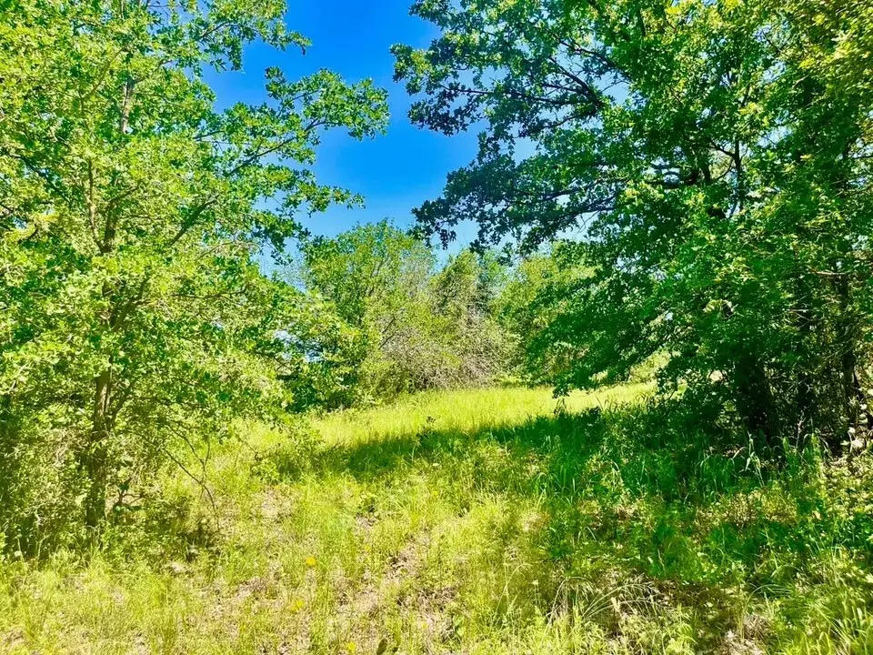 Lot 35 Galway Road, Poolville, TX 76487 - #1
