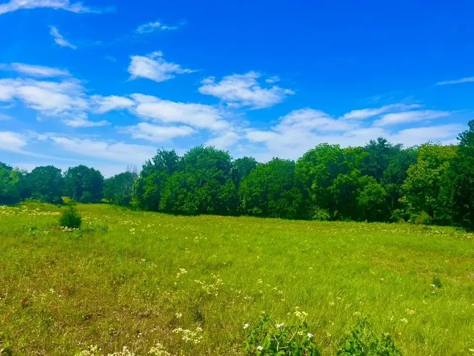 Lot 100 Arlow Road, Poolville, TX 76487 - #1