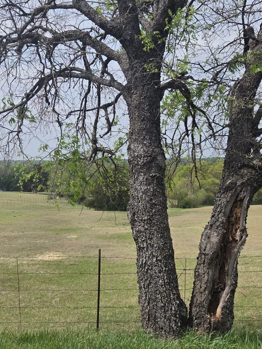 TBD Snap Road, Sherman, TX 75090 - #3