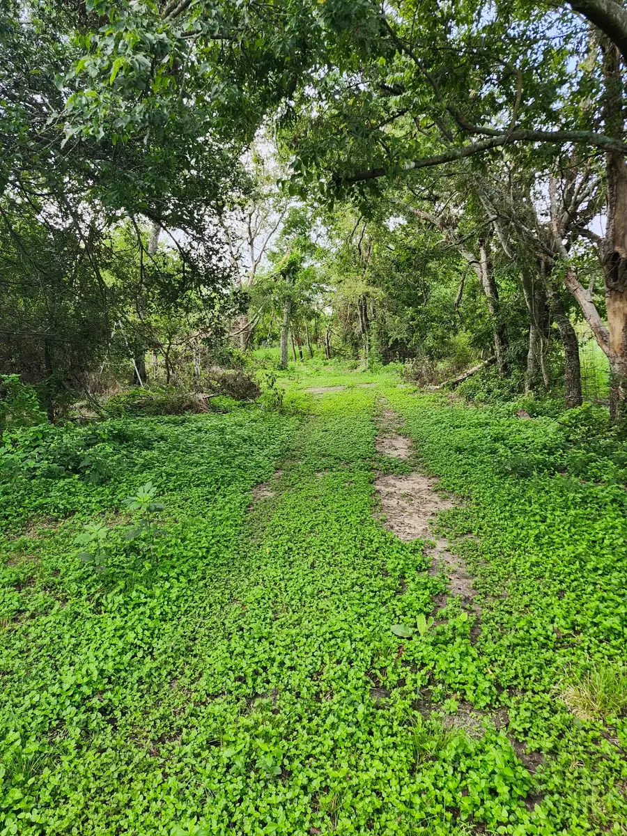 1202 Park Street, Marlin, TX 76661 - #2