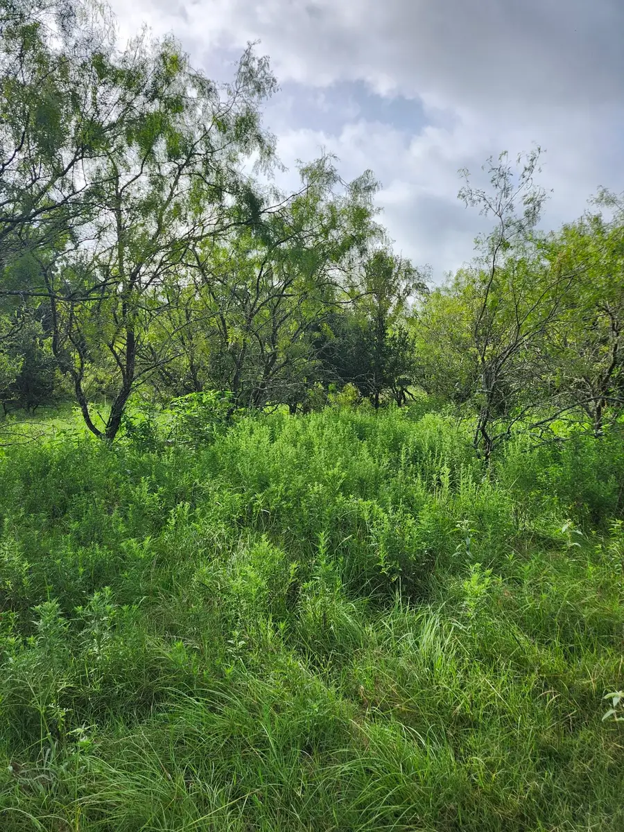 1202 Park Street, Marlin, TX 76661 - #3