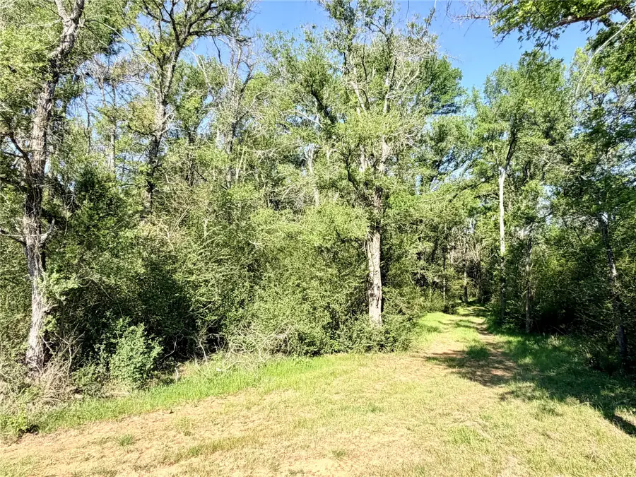 TBD 213.5 acs Fcr 984, Mexia, TX 76667 - #3