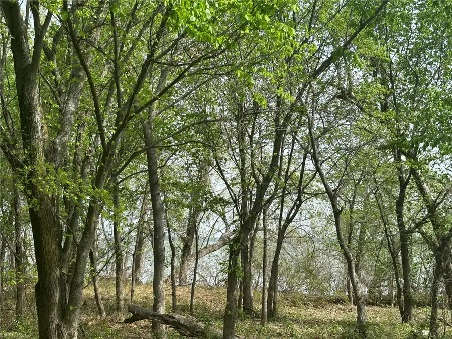 161 Aspen Road, Shady Shores, TX 76208 - #3