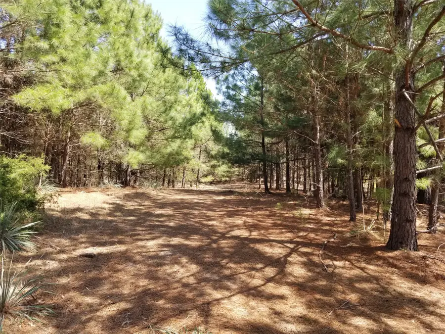 TBD Fm 317, Chandler, TX 75758 - #3