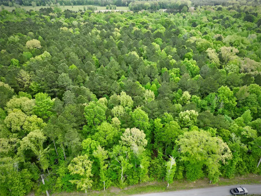 0 Highway 162, Benton, LA 71006 - #3